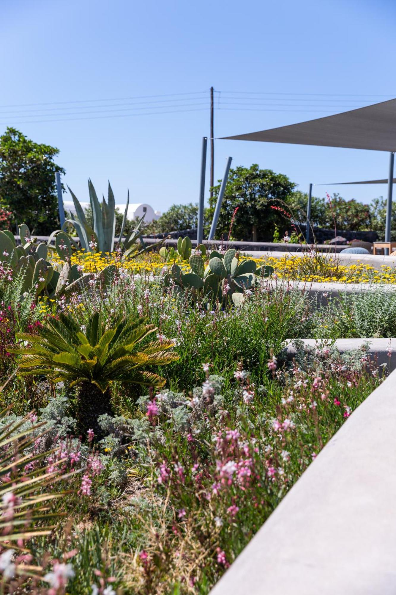 Soil Of Sun Luxury Villas Megalochori  Exterior foto